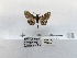  ( - ANHRTUK00194344)  @11 [ ] COPYRIGHT (2021) Unspecified ANHRT