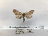  ( - ANHRTUK00194355)  @11 [ ] COPYRIGHT (2021) Unspecified ANHRT