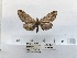  ( - ANHRTUK00194356)  @11 [ ] COPYRIGHT (2021) Unspecified ANHRT