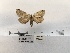  ( - ANHRTUK00194367)  @11 [ ] COPYRIGHT (2021) Unspecified ANHRT