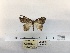  ( - ANHRTUK00194381)  @11 [ ] COPYRIGHT (2021) Unspecified ANHRT