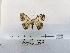  ( - ANHRTUK00194398)  @11 [ ] COPYRIGHT (2021) Unspecified ANHRT