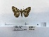  ( - ANHRTUK00194399)  @11 [ ] COPYRIGHT (2021) Unspecified ANHRT