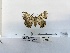  ( - ANHRTUK00194400)  @11 [ ] COPYRIGHT (2021) Unspecified ANHRT