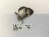  ( - ANHRTUK00194502)  @11 [ ] COPYRIGHT (2021) Unspecified ANHRT