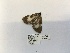  ( - ANHRTUK00194503)  @11 [ ] COPYRIGHT (2021) Unspecified ANHRT
