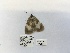  ( - ANHRTUK00194504)  @11 [ ] COPYRIGHT (2021) Unspecified ANHRT