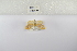  ( - ANHRTUK-00196000)  @11 [ ] Copyright (2021) Unspecified ANHRT