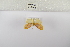  ( - ANHRTUK-00196007)  @11 [ ] Copyright (2021) Unspecified ANHRT