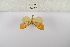  ( - ANHRTUK-00196025)  @11 [ ] Copyright (2021) Unspecified ANHRT