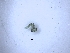  ( - BSC-110.3)  @11 [ ] CreativeCommons - Attribution Non-Commercial (2019) Susan Daniel Great Lakes Center
