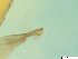  ( - BSC-22.2)  @11 [ ] CreativeCommons - Attribution Non-Commercial (2019) Susan Daniel Great Lakes Center