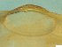  ( - BSC-22.3)  @11 [ ] CreativeCommons - Attribution Non-Commercial (2019) Susan Daniel Great Lakes Center