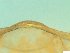  ( - BSC-22.4)  @11 [ ] CreativeCommons - Attribution Non-Commercial (2019) Susan Daniel Great Lakes Center