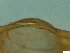 ( - BSC-22.5)  @11 [ ] CreativeCommons - Attribution Non-Commercial (2019) Susan Daniel Great Lakes Center