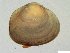  ( - BSC-47.2)  @11 [ ] CreativeCommons - Attribution Non-Commercial (2019) Susan Daniel Great Lakes Center
