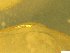  ( - BSC-47.3)  @11 [ ] CreativeCommons - Attribution Non-Commercial (2019) Susan Daniel Great Lakes Center