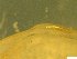  ( - BSC-47.3)  @11 [ ] CreativeCommons - Attribution Non-Commercial (2019) Susan Daniel Great Lakes Center