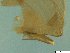  ( - BSC-49.5)  @11 [ ] CreativeCommons - Attribution Non-Commercial (2019) Susan Daniel Great Lakes Center
