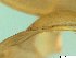  ( - BSC-49.5)  @11 [ ] CreativeCommons - Attribution Non-Commercial (2019) Susan Daniel Great Lakes Center