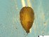  ( - BSC-49.6)  @11 [ ] CreativeCommons - Attribution Non-Commercial (2019) Susan Daniel Great Lakes Center