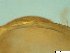  ( - BSC-49.6)  @11 [ ] CreativeCommons - Attribution Non-Commercial (2019) Susan Daniel Great Lakes Center