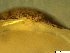 ( - BSC-52.9)  @11 [ ] CreativeCommons - Attribution Non-Commercial (2019) Susan Daniel Great Lakes Center