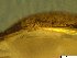  ( - BSC-52.9)  @11 [ ] CreativeCommons - Attribution Non-Commercial (2019) Susan Daniel Great Lakes Center