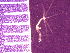  ( - F12-BHM1-1)  @11 [ ] CreativeCommons - Attribution Non-Commercial (2019) Nadine Rorem Wheaton College, Wheaton, IL.