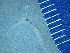  ( - F9-BHH1)  @11 [ ] CreativeCommons - Attribution Non-Commercial (2019) Nadine Rorem Wheaton College, Wheaton, IL.