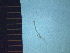  ( - G11-PATM5-2)  @11 [ ] CreativeCommons - Attribution Non-Commercial (2019) Nadine Rorem Wheaton College, Wheaton, IL.