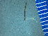  ( - G9-LexH2)  @11 [ ] CreativeCommons - Attribution Non-Commercial (2019) Nadine Rorem Wheaton College, Wheaton, IL.