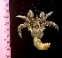  ( - AQB-ANU-KER-NEE-01)  @11 [ ] Copyright (2013) Dr.A Biju Kumar Dept. of Aquatic Biology