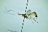  ( - WP-CCDB-38693-D02)  @11 [ ] nrr (2020) Unspecified Unspecified