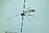  (Agrypon sp - WP-CCDB-38693-D07)  @11 [ ] nrr (2020) Unspecified Unspecified