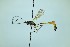  (Agrypon gracilipes - WP-CCDB-38693-F02)  @11 [ ] nrr (2020) Unspecified Unspecified