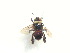  ( - CCDB-14520-A01)  @11 [ ] No Rights Reserved (2023) Unspecified York University