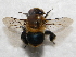  ( - CCDB-14520-B07)  @11 [ ] No Rights Reserved (2023) Unspecified York University