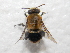  ( - CCDB-34578-B09)  @11 [ ] No Rights Reserved (2023) Unspecified York University