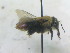  ( - CCDB-34578-B10)  @11 [ ] No Rights Reserved (2023) Unspecified York University