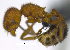  ( - MACN-Bar-Ins-ct 07233)  @11 [ ] Copyright (2016) MACN Museo Argentino de Ciencias Naturales "Bernardino Rivadavia"
