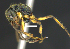  ( - MACN-Bar-Ins-ct 07424)  @12 [ ] Copyright (2016) MACN Museo Argentino de Ciencias Naturales "Bernardino Rivadavia"