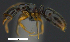  ( - MACN-Bar-Ins-ct 07591)  @13 [ ] Copyright (2017) MACN Museo Argentino de Ciencias Naturales "Bernardino Rivadavia"