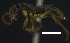  ( - MACN-bar-ins-ct 07638)  @13 [ ] Copyright (2017) MACN Museo Argentino de Ciencias Naturales "Bernardino Rivadavia"