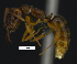  ( - MACN-bar-ins-ct 07700)  @13 [ ] Copyright (2017) MACN Museo Argentino de Ciencias Naturales "Bernardino Rivadavia"