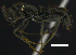  ( - MACN-bar-ins-ct 07715)  @14 [ ] Copyright (2017) MACN Museo Argentino de Ciencias Naturales "Bernardino Rivadavia"