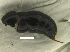  ( - MACN-bar-ins-ct 08564)  @12 [ ] Copyright (2019) Pablo L. Tubaro MACN