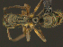  ( - MACN-bar-ins-ct 08599)  @12 [ ] Copyright (2019) Pablo L. Tubaro MACN