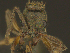  ( - MACN-bar-ins-ct 08599)  @12 [ ] Copyright (2019) Pablo L. Tubaro MACN