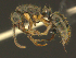  ( - MACN-bar-ins-ct 08599)  @13 [ ] Copyright (2019) Pablo L. Tubaro MACN